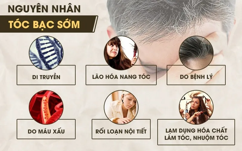 Yếu tố di truyền là một nguyên nhân gây ra tình trạng tóc bạc sớm ở người trẻ