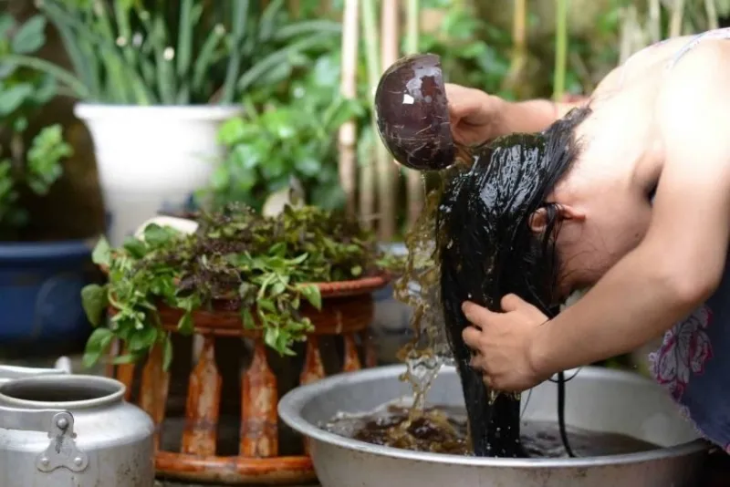 Gội đầu bằng bồ kết là phương pháp truyền thống giúp tóc đen mượt