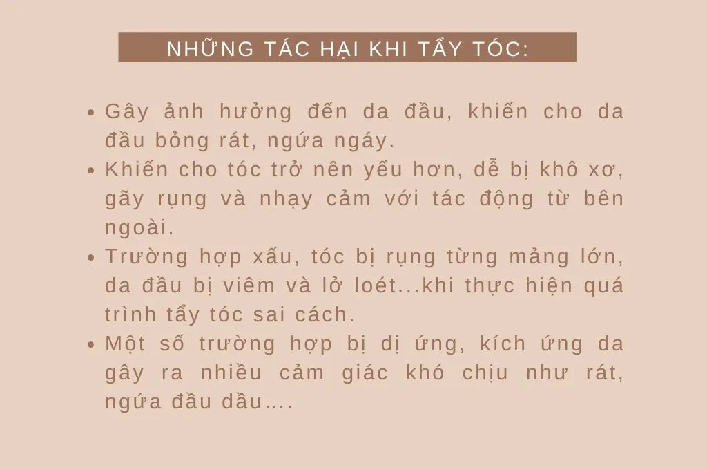 Phụ nữ đang kiểm tra tình trạng tóc hư tổn do chẻ ngọn và khô xơ dưới ánh sáng