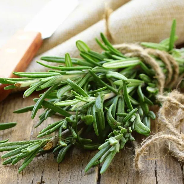 Cách chế biến nước hương thảo khô để sử dụng như nước nhuộm tóc tự nhiên