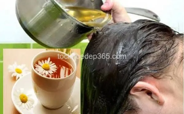 Sử dụng trà hoa cúc vàng để nhuộm tóc tại nhà giúp tóc lên màu tự nhiên