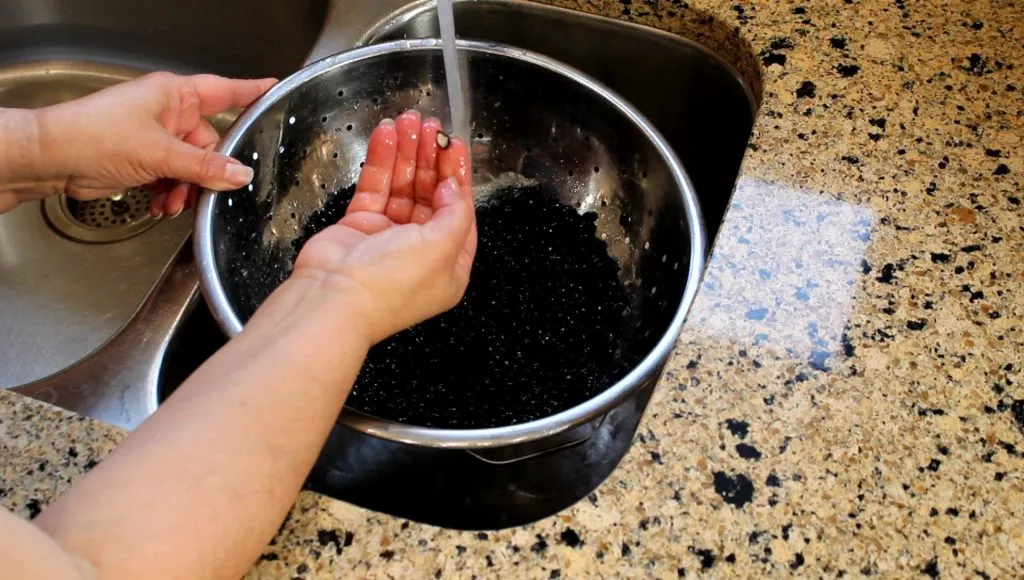 Cơ chế hình thành sắc tố tóc với đậu đen