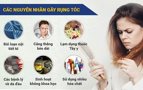 Minh họa các nguyên nhân phổ biến khiến tóc gãy rụng và mỏng yếu đi