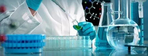 Quy Trình Nuôi Cấy Nấm Da Đầu Để Chẩn Đoán Bệnh Chính Xác