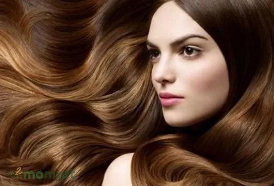 Thành phần chủ yếu trong dầu xả