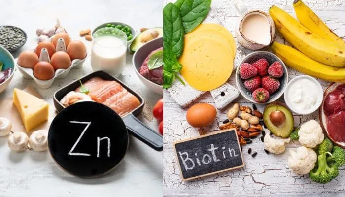 Thực phẩm giàu Kẽm và Biotin cung cấp chất dinh dưỡng cho tóc mọc nhanh