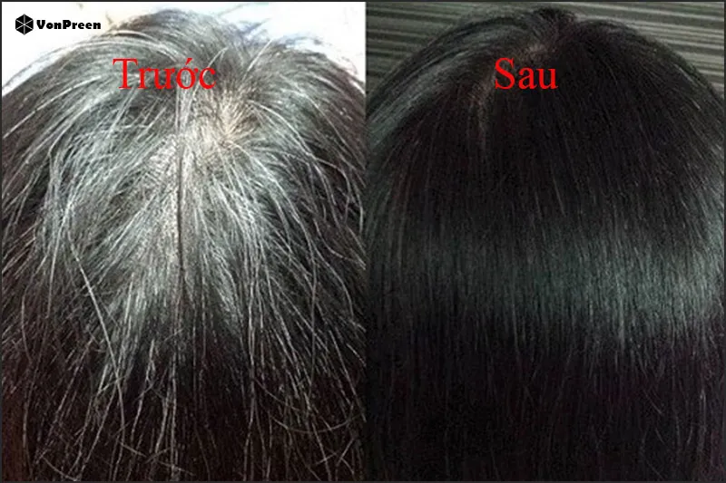 Mái tóc trước và sau khi nhuộm đen, minh họa độ bóng và độ bền màu