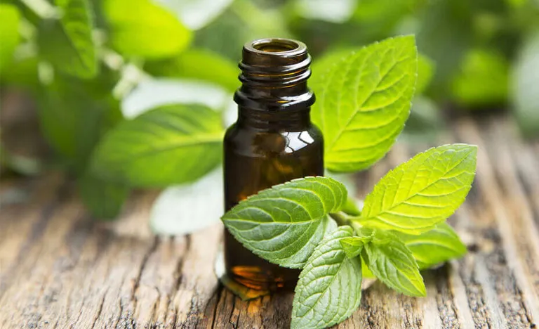 Tinh dầu kích thích mọc tóc nhanh và hiệu quả