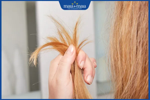 Mô tả chuyên sâu về sợi tóc bị chẻ ngọn và cơ chế hư tổn của lớp biểu bì