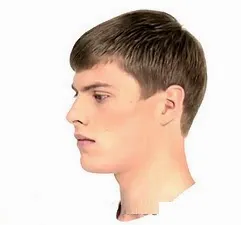 Kỹ thuật chia tóc khu vực đỉnh trong cách cắt tóc so le đều