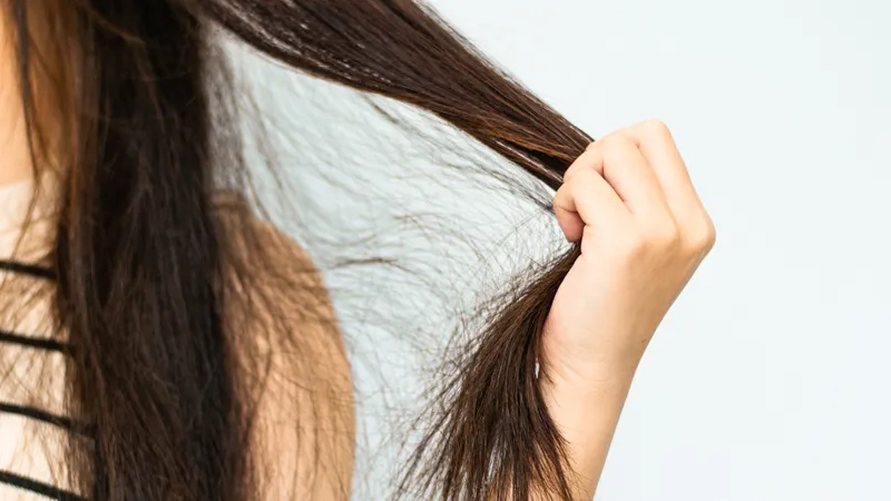 Sợi tóc rễ tre thường khô xơ và khó tạo kiểu do lớp biểu bì bên ngoài bị hư tổn