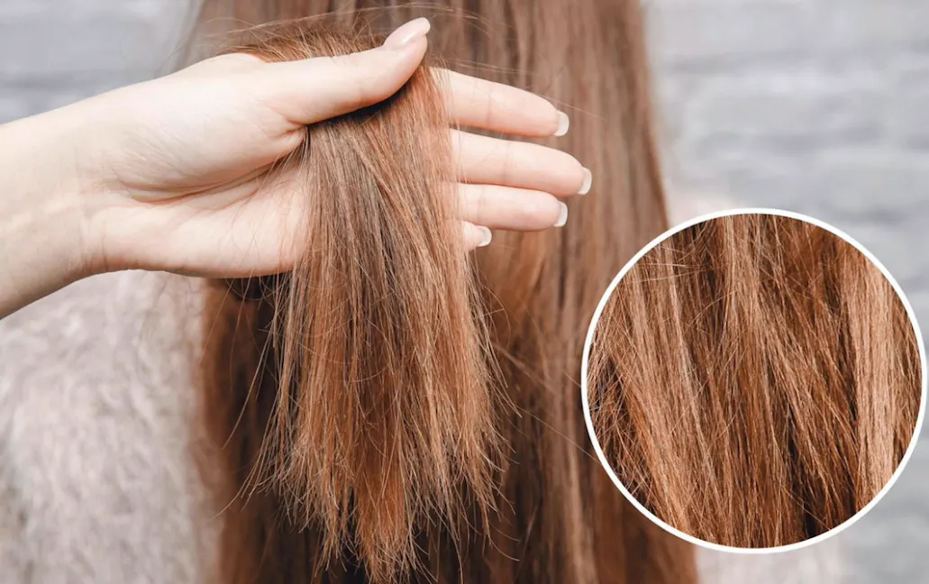 Chuyên gia đang kiểm tra cấu trúc tóc khô xơ và hư tổn trước khi áp dụng cách phục hồi tóc xơ tại nhà