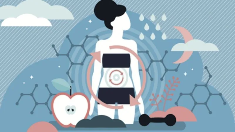 Vitamin B1 hỗ trợ cơ thể mang dưỡng chất đến các nang tóc