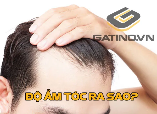 Độ ẩm và độ xốp của tóc ảnh hưởng đến cách chọn sáp vuốt tóc