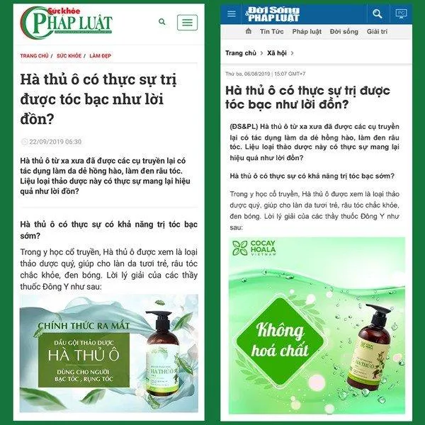 Khế chua và cách chữa tóc bạc sớm bằng khế chua